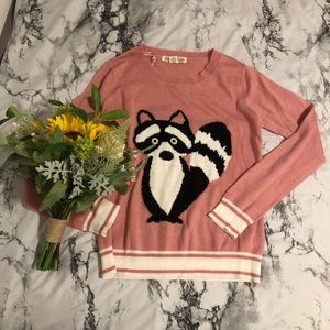 Cute Raccoon Sweater
